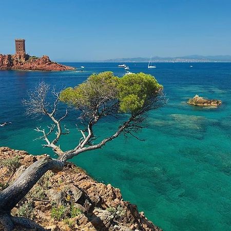 Appartement Frejus Avec Jardin, Piscine, Plage, Tennis エクステリア 写真
