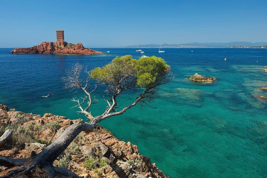 Appartement Frejus Avec Jardin, Piscine, Plage, Tennis エクステリア 写真